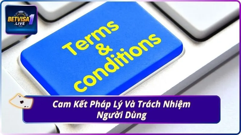 Cam Kết Pháp Lý Và Trách Nhiệm Người Dùng