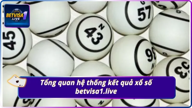 Kết quả xổ số Betvisa1.live - Từ khóa hot nhất hiện nay