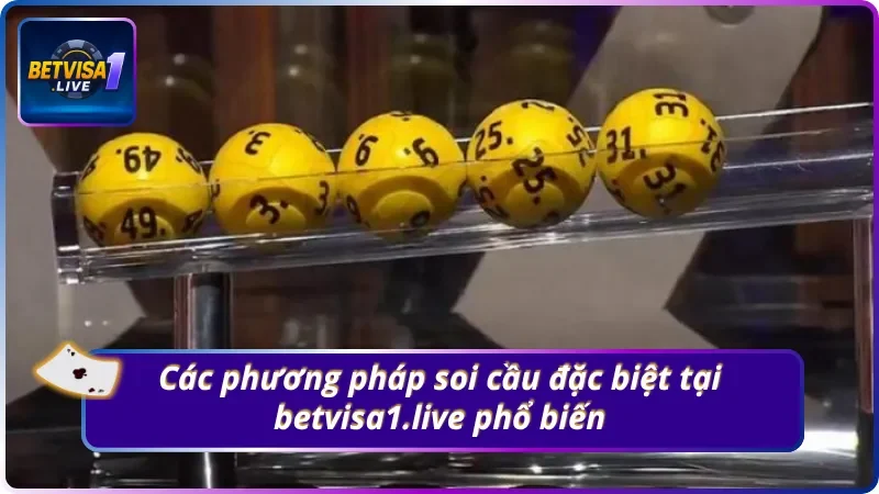 Bí kíp soi cầu đặc biệt Betvisa1.live hiệu quả nhất