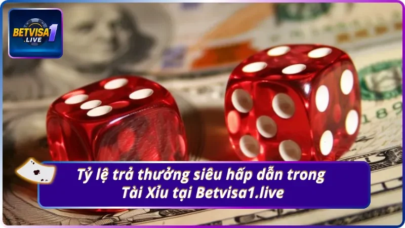 Khám phá chi tiết mức thưởng trong Tài Xỉu Betvisa1.live