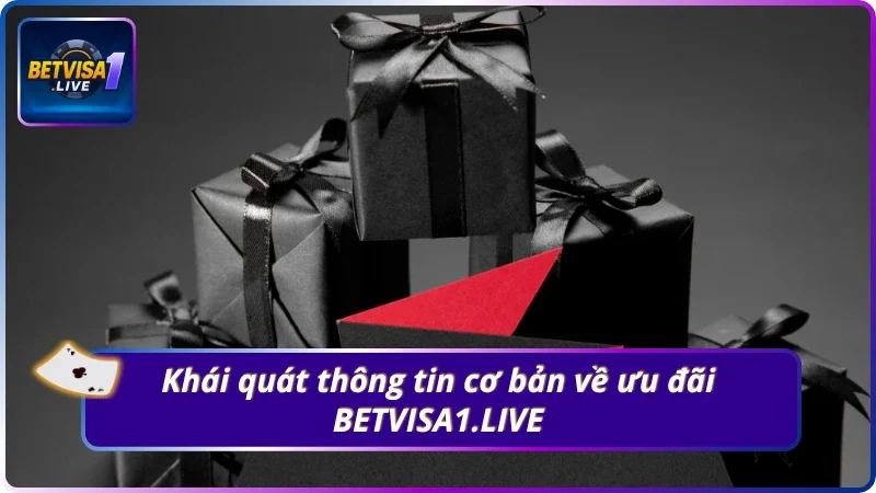 Giới thiệu chi tiết về ưu đãi BETVISA1.LIVE