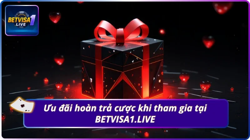 3 ưu đãi hoàn trả của BETVISA1.LIVE
