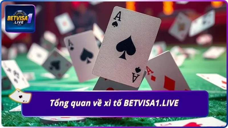 Khám phá nhanh xì tố BETVISA1.LIVE